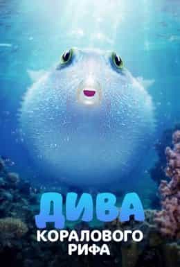 Дива коралового рифа