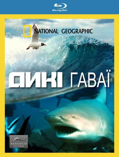 Дикі Гаваї 1 сезон