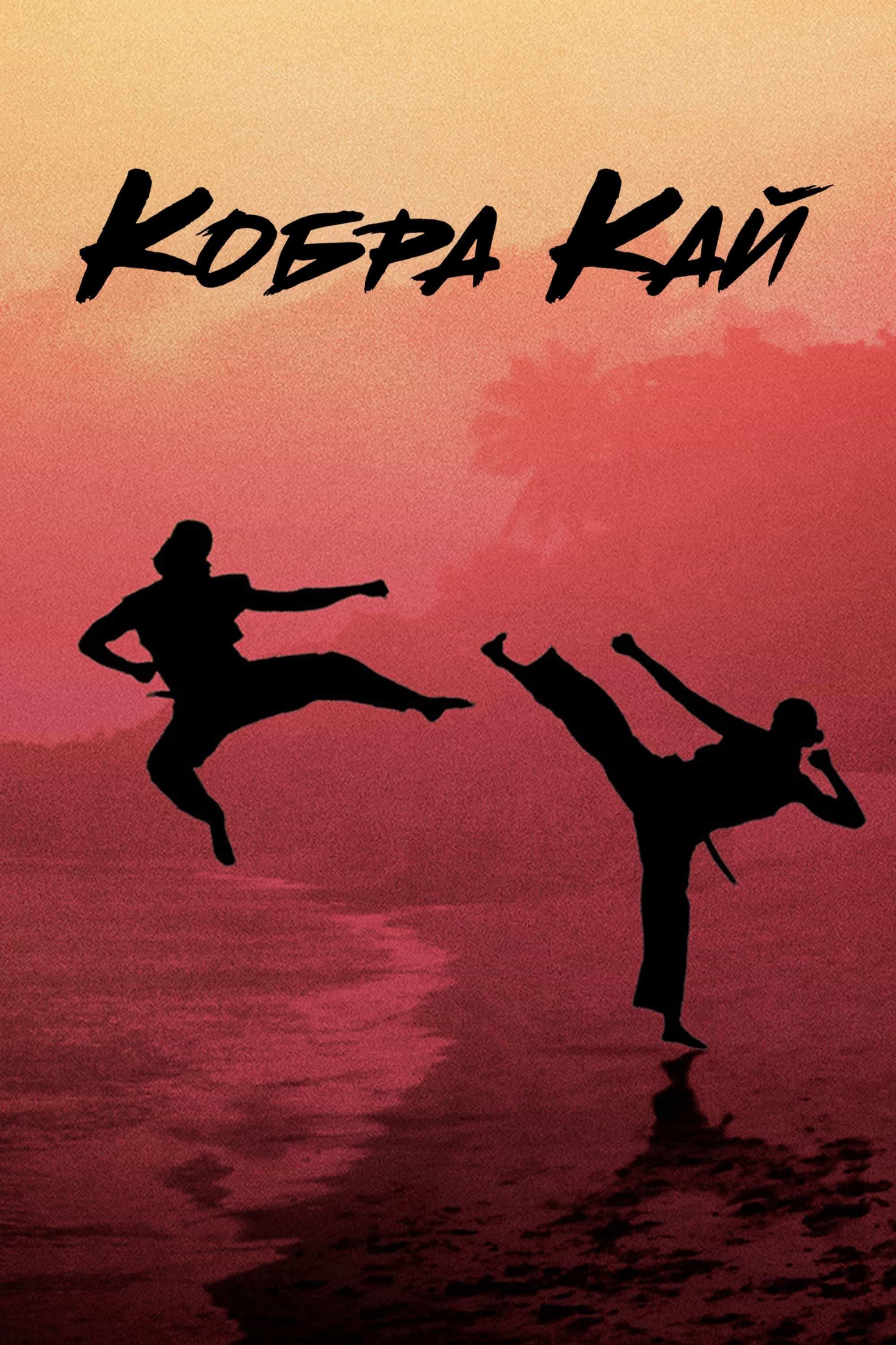 Кобра Кай 1 сезон