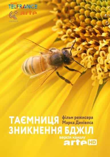 Таємниця зникнення бджіл